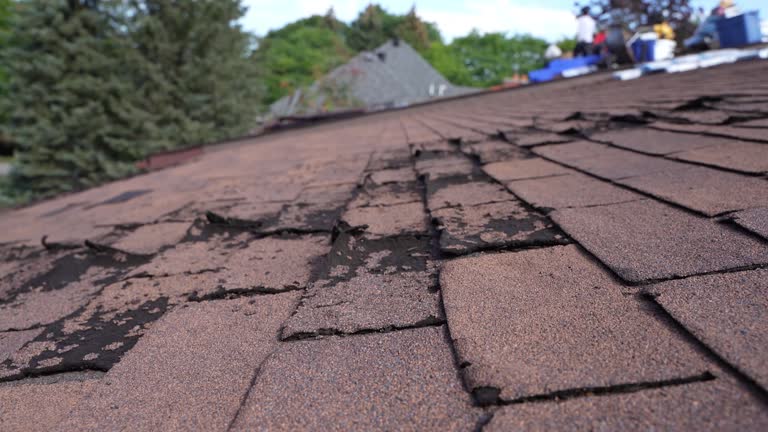 Best Storm Damage Roof Repair  in Wiggins, MS