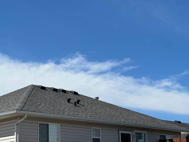 Best Chimney Flashing Repair  in Wiggins, MS